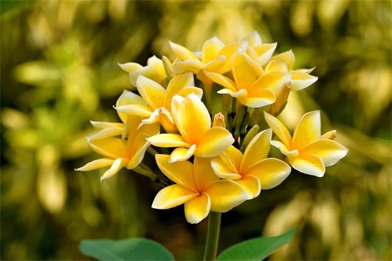 带重生的名字有寓意的网名