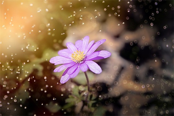 甜甜的带宠爱的网名男孩