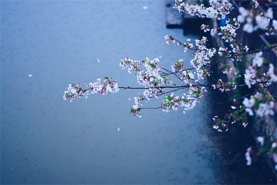 带曾字昵称的网名