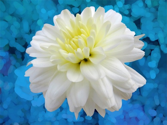 带对象意义的网名女