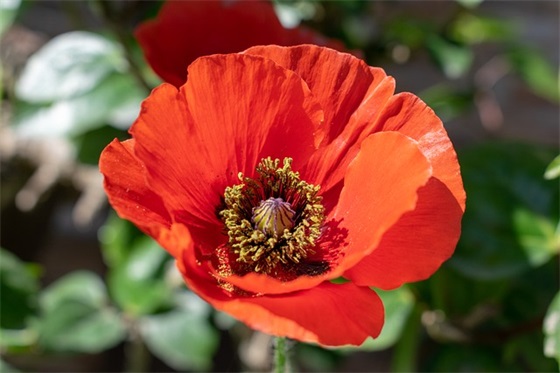 带恋爱俩字的网名女