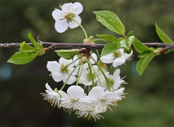 带女主角的网名