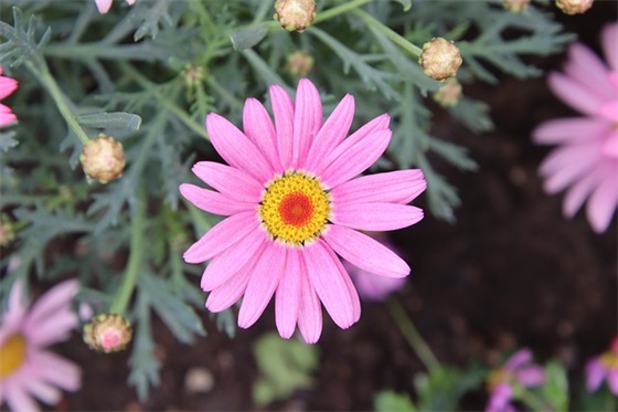 带一身荣耀的网名