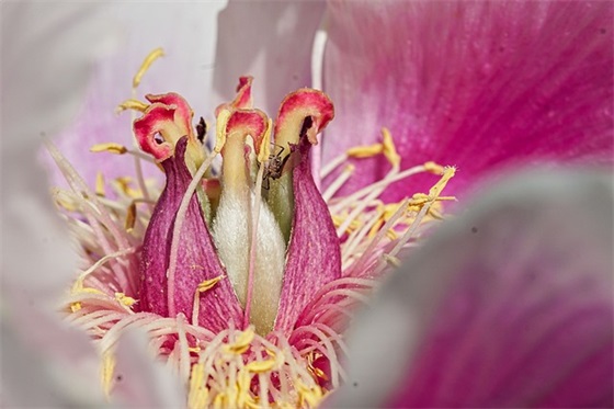带爱心符号的名称网名女