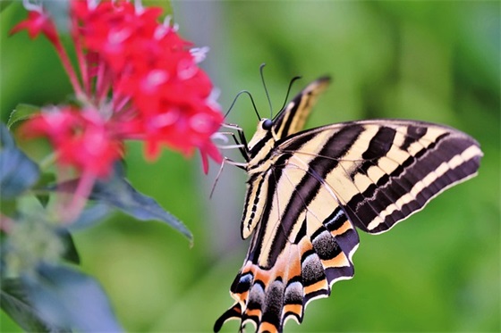 带马字的网名名称女生