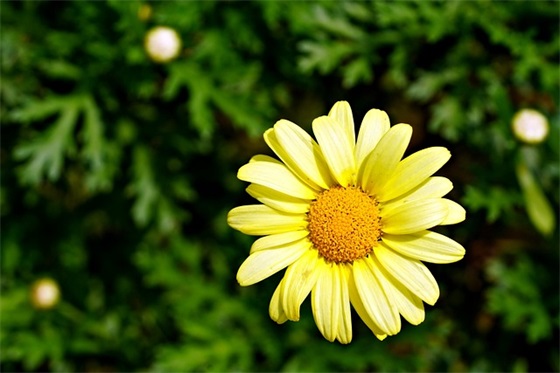 最伤心的句子经典语句51句