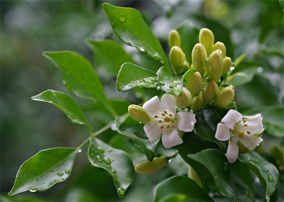 早上温馨唯美的句子 早晨的句子发朋友圈精选