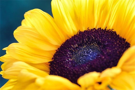 唯美文案句子诗意(唯美文案句子摘抄)