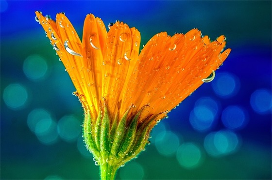 最新古风唯美签名句子