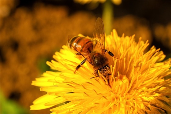 简单的唯美伤感句子