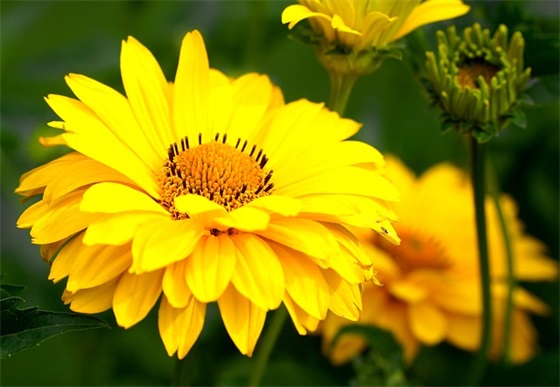 网络搞笑生日祝福语41句 网络搞笑生日祝福语41句