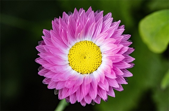 宝宝百天祝福语大全58句