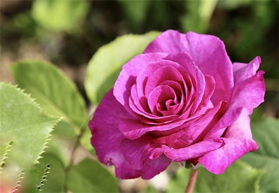 关于建党节的祝福语 建党节的祝福语60字 关于建党节的祝福语 建党节的祝福语60字