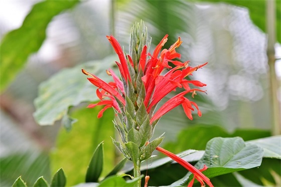 祝福母亲节的祝福的话 母亲节祝福微信大全 祝福母亲节的祝福的话 母亲节祝福微信大全