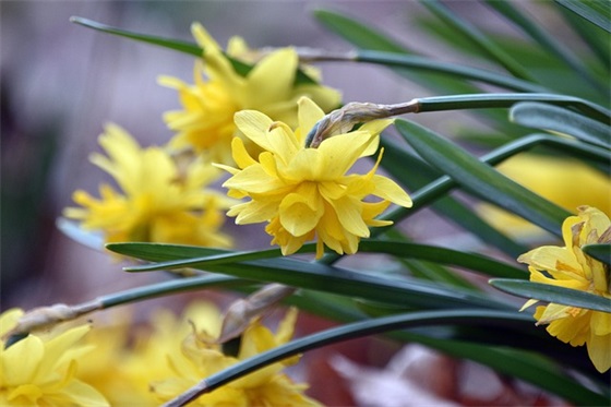 2026暑假祝福的话 2026暑假祝福的话