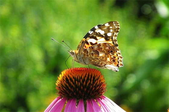 2026年劳动节祝福语大全简短(劳动节祝福语简短) 2026年劳动节祝福语大全简短(劳动节祝福语简短)