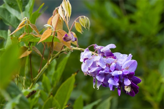 对儿子十七岁说的生日祝福语 对儿子十七岁说的生日祝福语