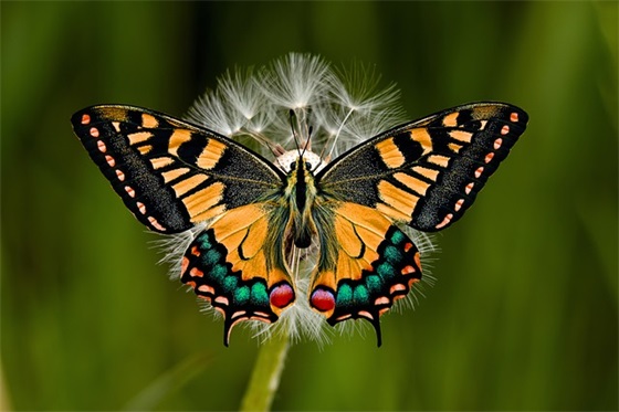 年终岁尾祝福亲戚家人(新年给家人朋友祝福的话) 年终岁尾祝福亲戚家人(新年给家人朋友祝福的话)