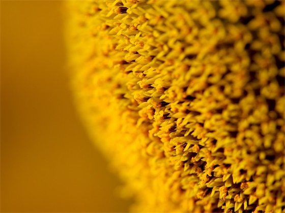 2026独特简短的父亲节祝福语 父亲节祝福语大全 2026独特简短的父亲节祝福语 父亲节祝福语大全