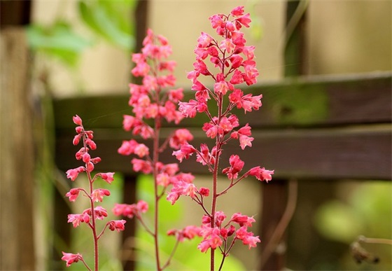 出门平安的祝福语40句 出门平安的祝福语40句