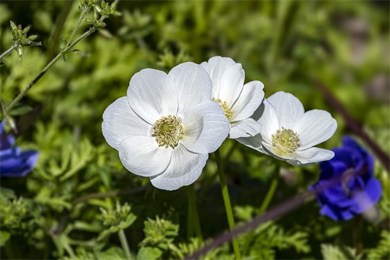安慰人的句子大全