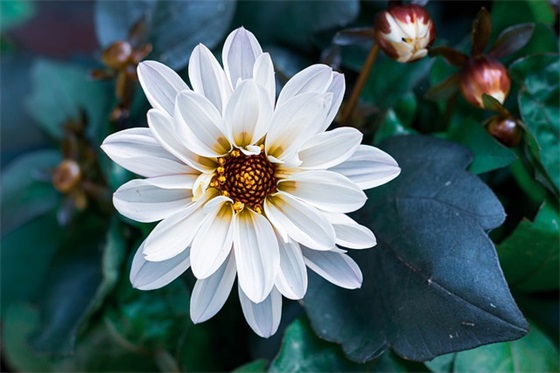 关于读书的唯美短句 关于读书的唯美短句一年级