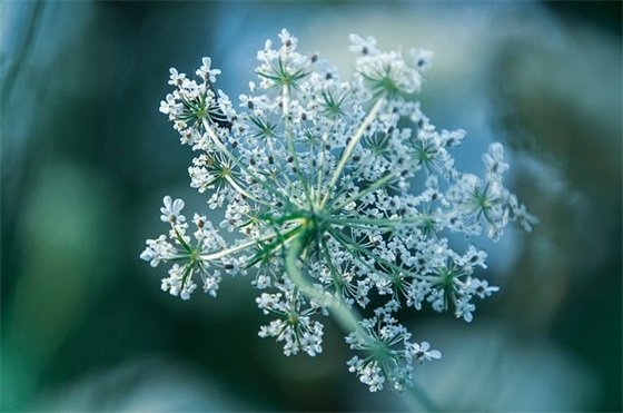 让人心情愉快的句子(精选46句)