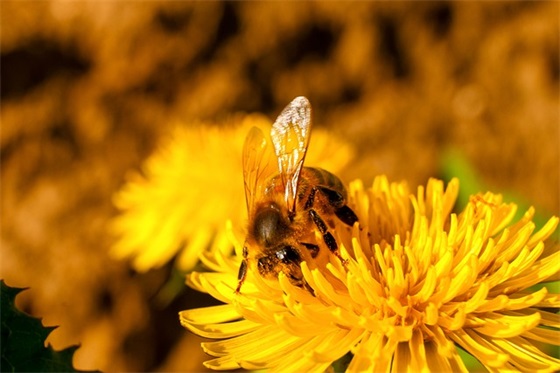 关于期待的句子摘抄(精选46句)
