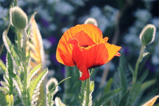 旅游风景发朋友圈的精美句子(精选62句)