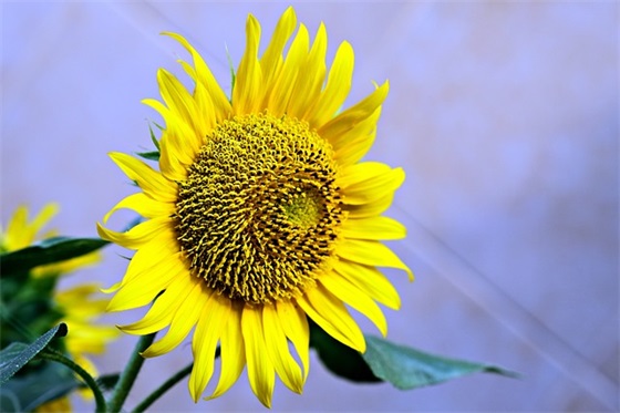 求神灵保佑的句子(精选64句) 求神灵保佑的句子(精选64句)