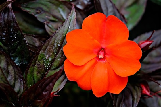 生日祝福语简短独特 生日祝福语简短8字搞笑 生日祝福语简短独特 生日祝福语简短8字搞笑