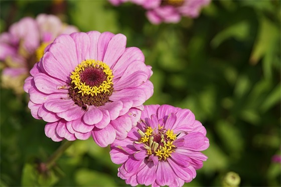 劳动节祝福语大全简短好句2026(劳动节祝福语大全) 劳动节祝福语大全简短好句2026(劳动节祝福语大全)