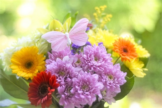 生女孩说什么祝福语33句 生女孩说什么祝福语33句