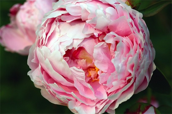 2026酒店开业祝福语