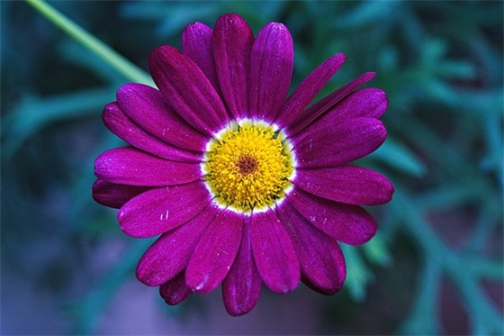 女儿祝父亲节的祝福语