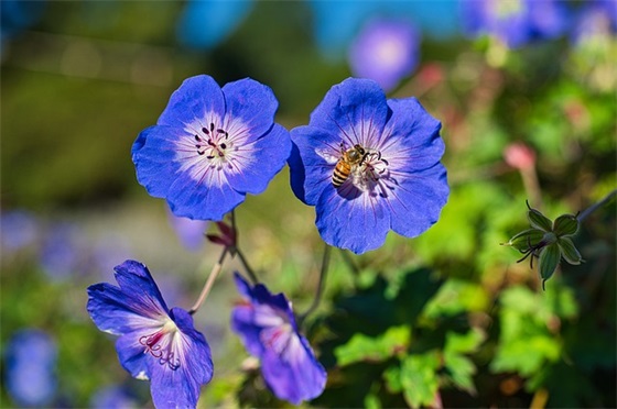 给生病的老人祝福语36句 给生病的老人祝福语36句