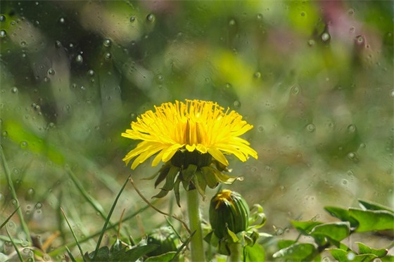 生意祝福语四字成语 生意祝福语大全四字成语 生意祝福语四字成语 生意祝福语大全四字成语