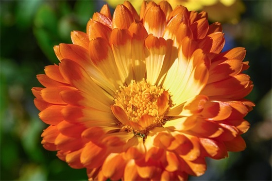 祝福宝贝女儿新年的温暖话语 对宝贝的新年寄语简短 祝福宝贝女儿新年的温暖话语 对宝贝的新年寄语简短