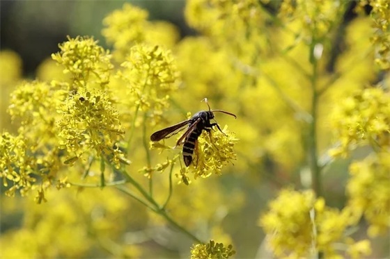 祝福情人新年快乐的祝福语 祝福情人新年快乐的祝福语