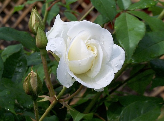 三个字情侣网名一男一女 三个字情侣cp昵称 三个字情侣网名一男一女 三个字情侣cp昵称