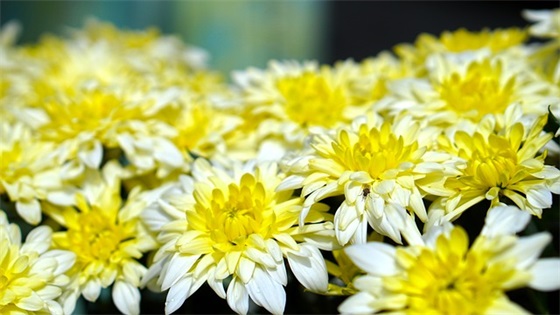 好听个性的战队名字优雅好听 好听个性的战队名字优雅好听