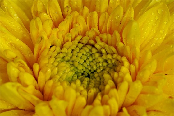 qq空间网名女生英文