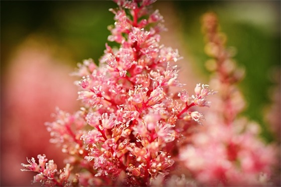 qq空间相册名字英文