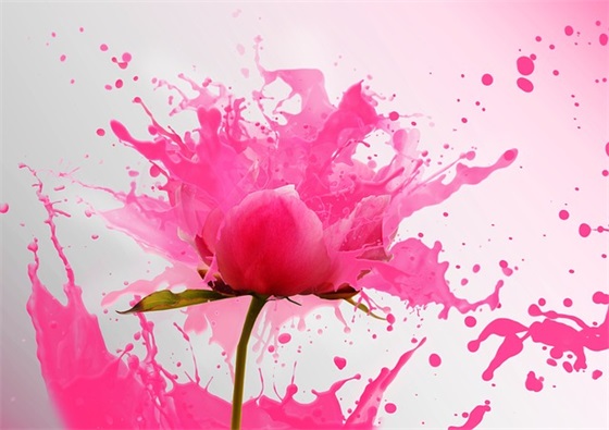 好听的6字昵称 好听的6字昵称