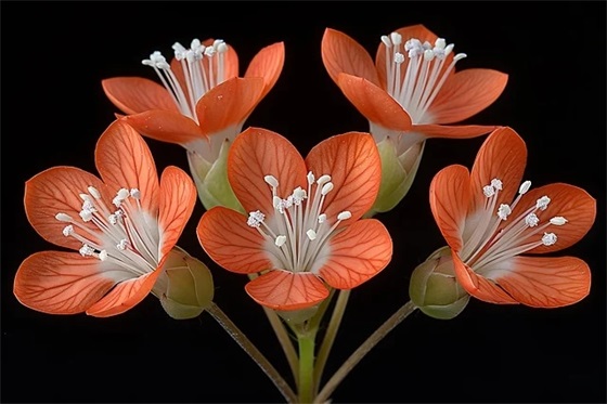 适合老板的微信昵称