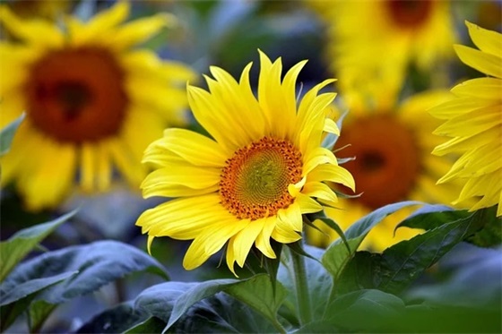 霸气独一无二的战队名