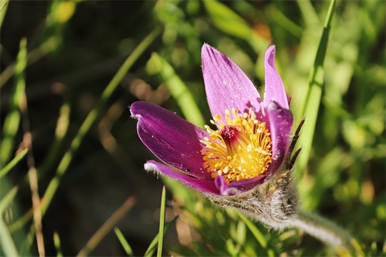 好听的百度用户名大全 个性百度昵称