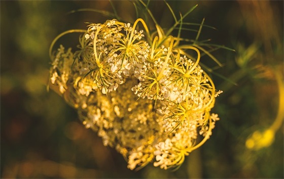 带墨的霸气游戏网名