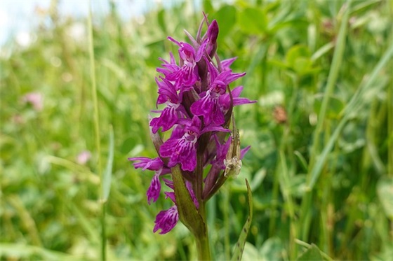 带蓝的唯美网名