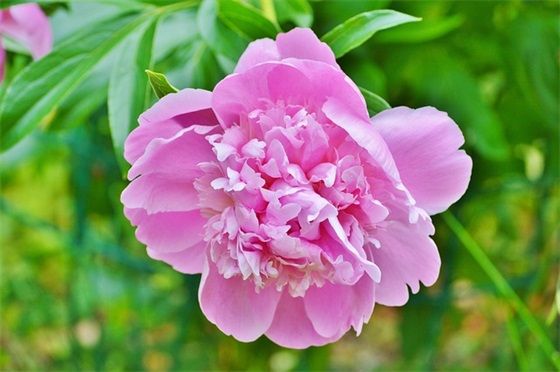 致给自己的生日祝福语 致给自己的生日祝福语